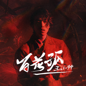 缅甸一级婬片A片金莲
